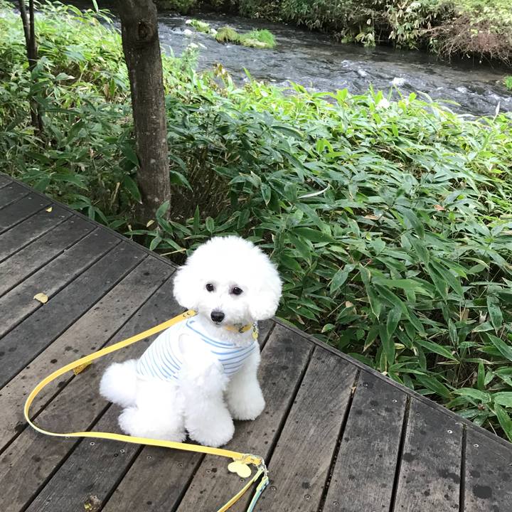 1adfa6f5 a2ee 4598 9fb0 1cb52a409936 1537419389417