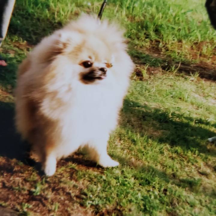 1adfbb7e f4e8 46d6 9696 96874f431a3b 1612608123132