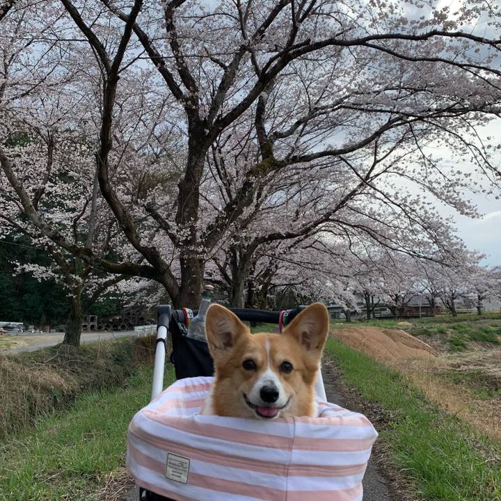 1adfddb8 85fd 40c8 a4be 84a8ce2aa022 1648450321900