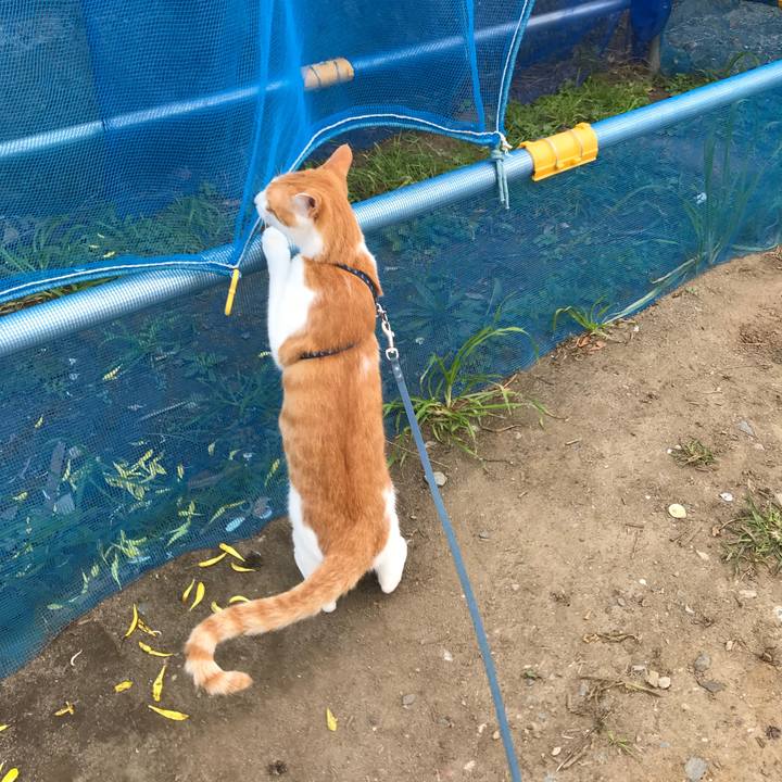 1ae0041f 3710 4efd a5b7 2939410fd679 1509761582325