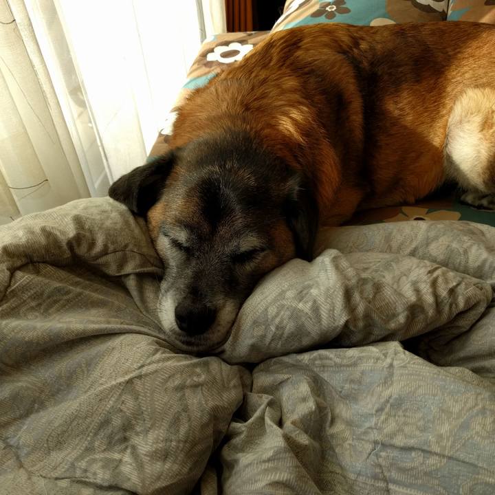 1ae01b65 68ee 43c7 bd06 d6dc0127b3df 1698367588618