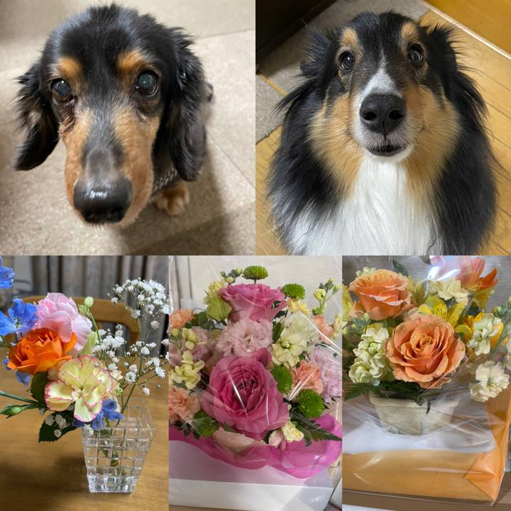 1ae03283 757e 44f3 a171 63ff6a733552 1616587331986