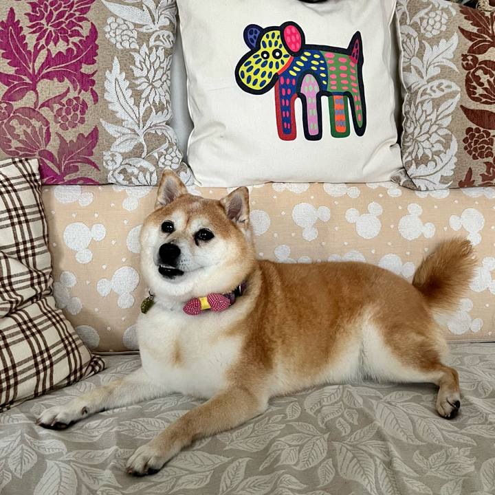 1ae03fe0 320e 4284 8162 ec7928e8f64c 1661603365459