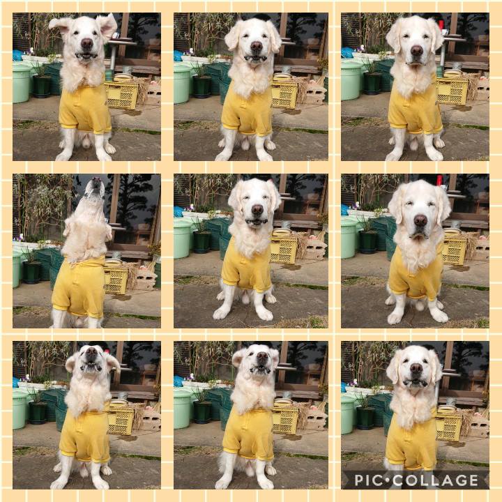 1ae043ab fef5 489e 93c8 d536023d036f 1581370543189