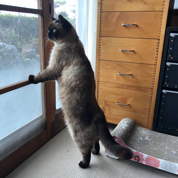 1ae046ff 651d 4e98 9a58 b9d67969692c 1612666554129