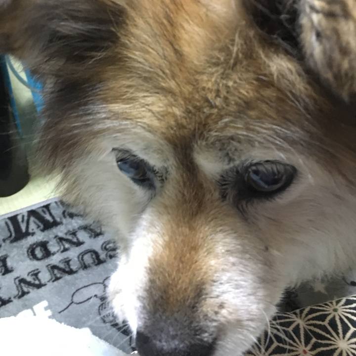 1ae054cb f7cc 4177 815c 0f9ce54bc6cf 1610200128750