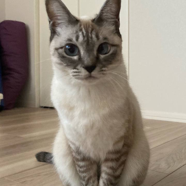 1ae055ea fac6 4c21 bcb1 e6e9f492be99 1605925028635