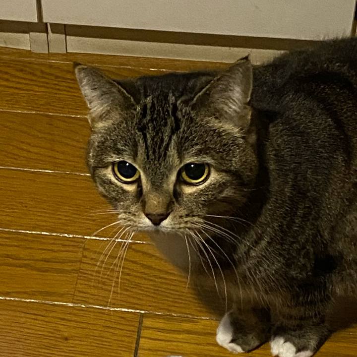 1ae0682c 7039 4596 bf53 d437da33df45 1677335951062