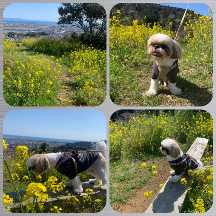 1ae07579 e236 4ee4 9ec3 c055d72294da 1615984191814