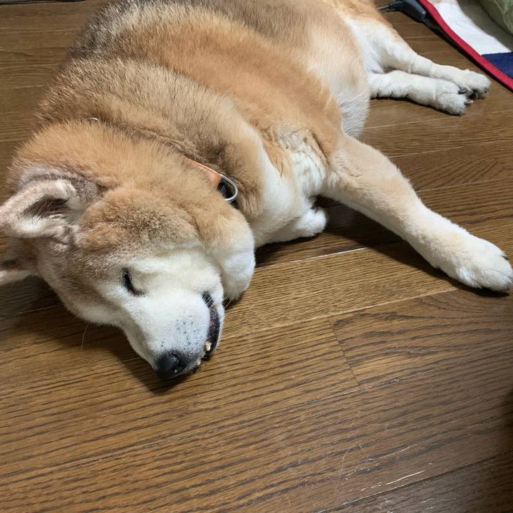 1ae091b3 44fe 446e 82c0 ac8ba40cded7 1651754008081