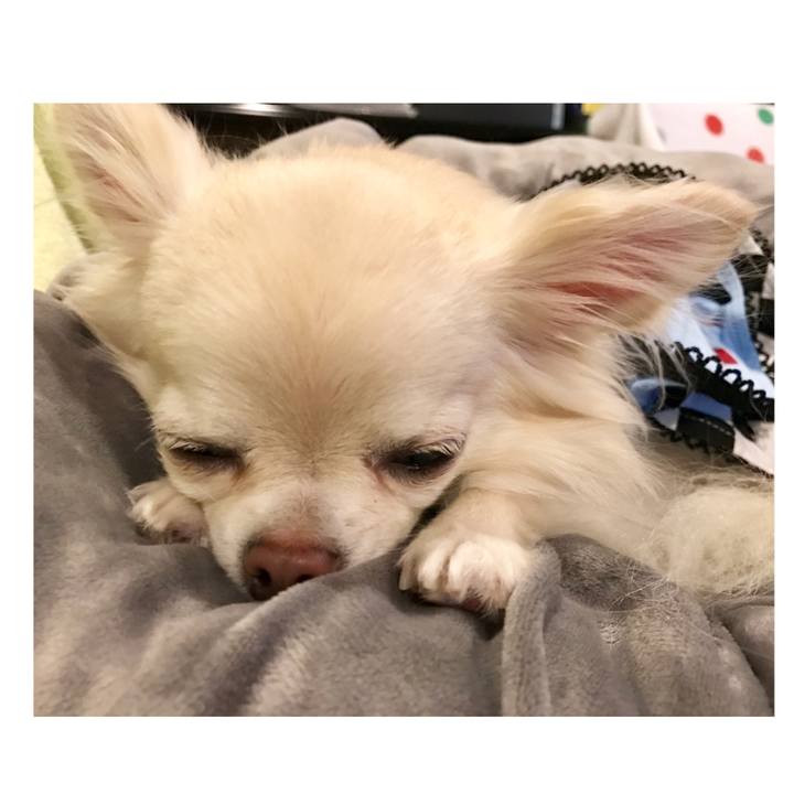 1ae09cbb a42c 4a8e bb93 136d89c655f0 1541859549299