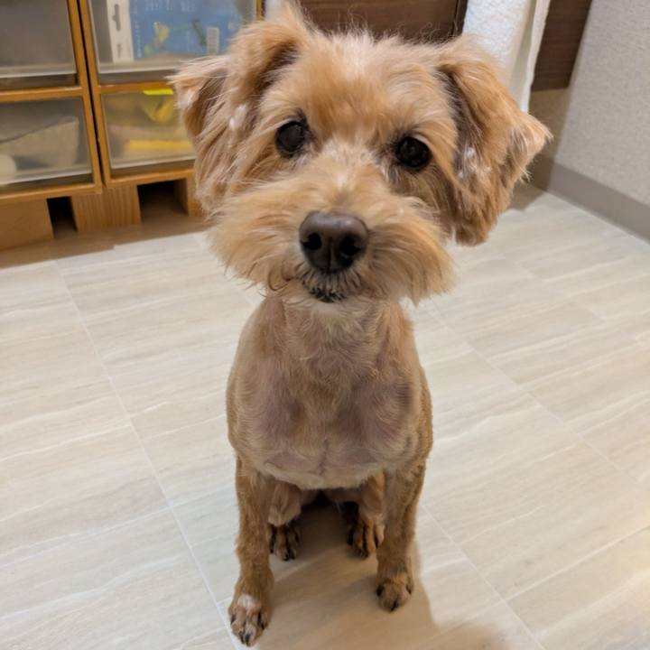 1ae0ab78 a4f5 43ff adff 88ffc7cbf1ac 1762248107112