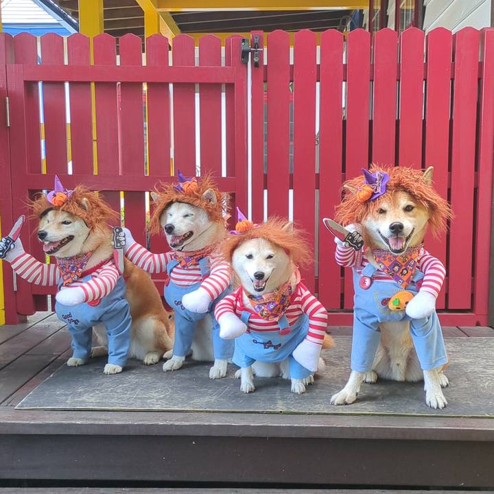 1ae0d8bb 27c4 4b92 b800 b44661414c14 1728878112048