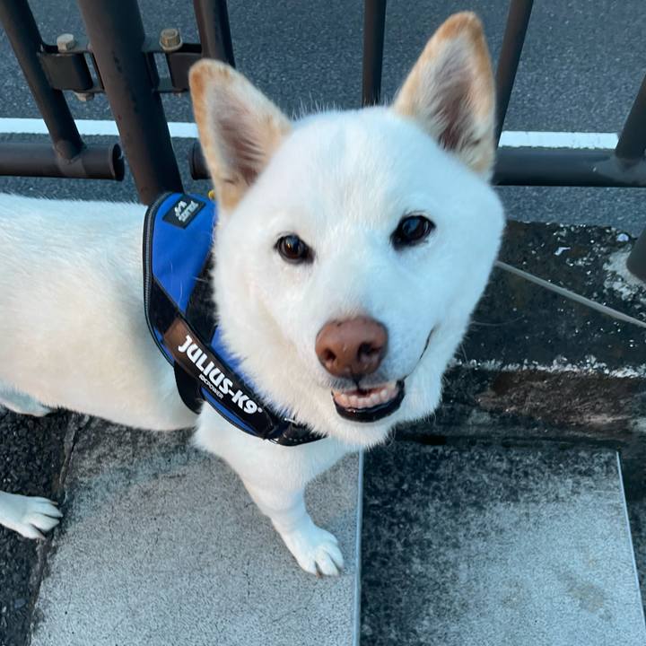 1ae1021c be16 4852 a8cc 6c4580c552a2 1659089248607