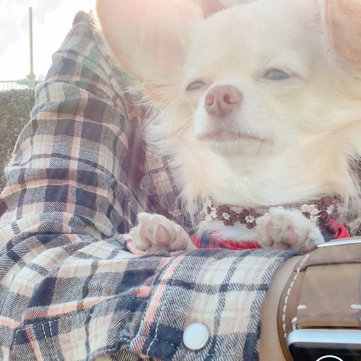 1ae1561e 82a2 4663 9b07 f24f250cf159 1606369020352