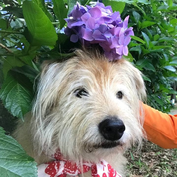 1ae18522 bf5a 4edb 904c 4f4197c8aa16 1623741718522