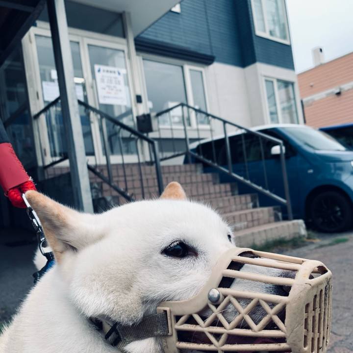 1ae190a3 2b0c 4c70 b482 e03659783967 1663295115582