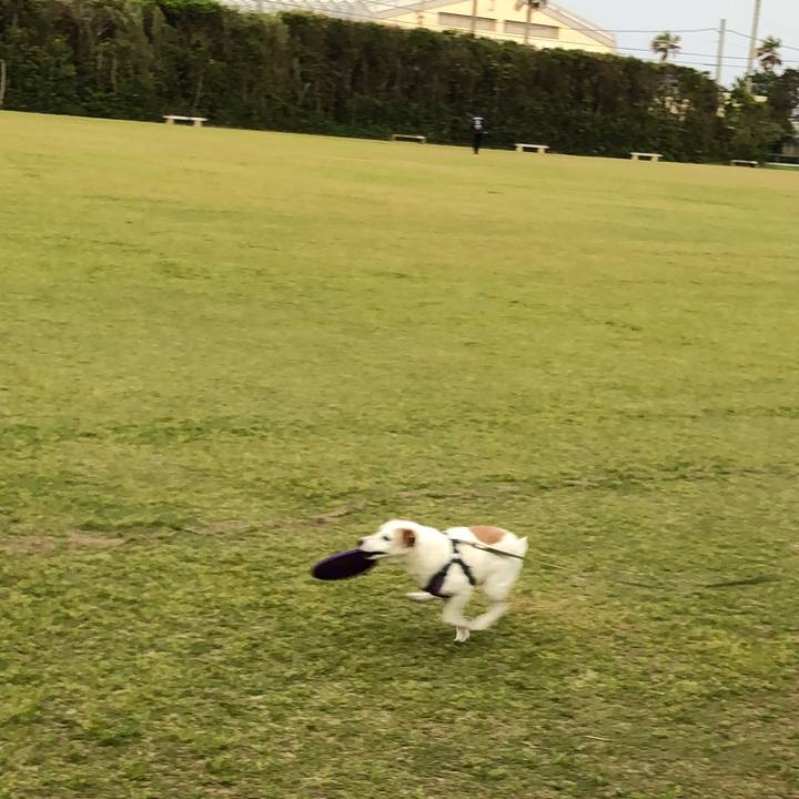 1ae1c30a 27ef 4d5b a781 628f2012e013 1556889894531