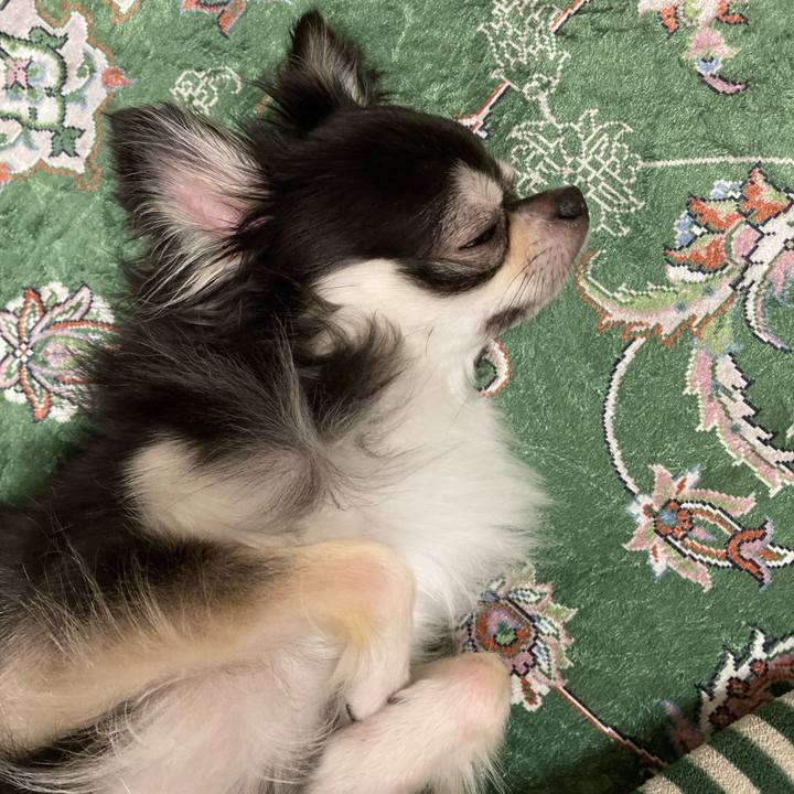 1ae1c6b1 b065 4f45 853e af373c781d48 1662867769624