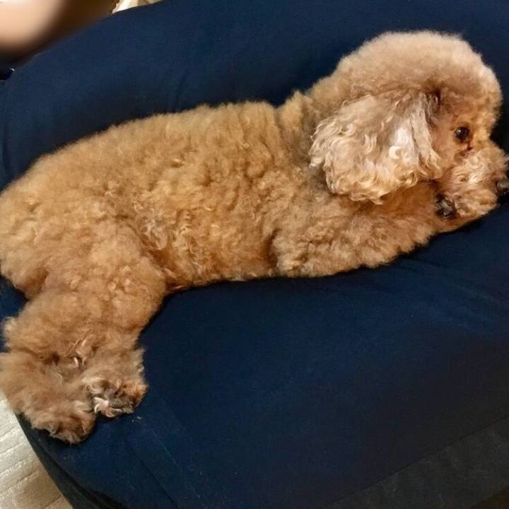 1ae1cd82 7c20 43c4 8bfd 58c8c91477e4 1538139701390