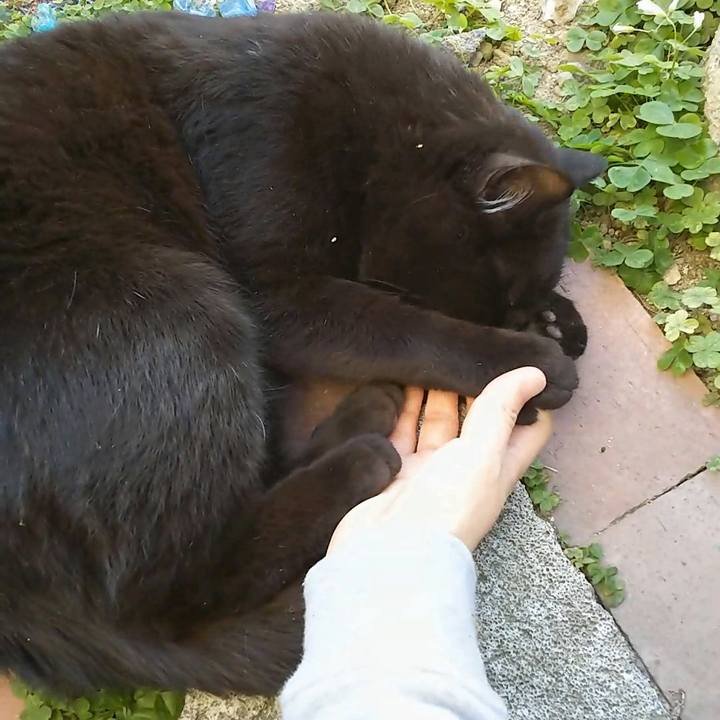 1ae1d9d9 30bd 4fb1 b4a7 bf71ea5f17a8 1557565495558