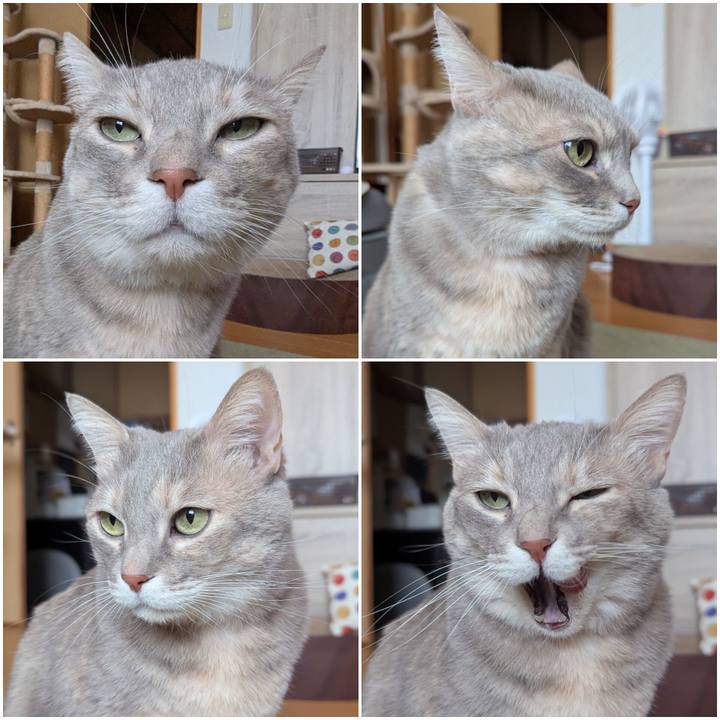 1ae1f127 f70b 4bab bab8 c730137c156a 1739526976617