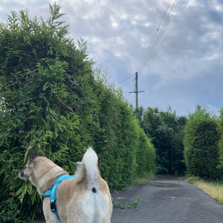 1ae1f90d 246e 42a4 b41d f13379ced70a 1724070227571