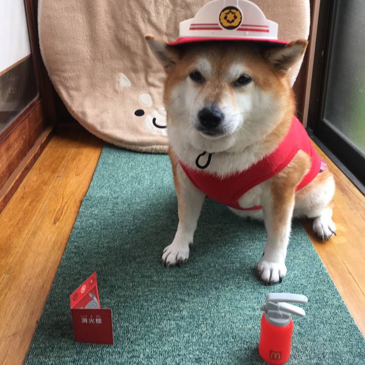 1ae21c66 042e 4831 be23 762c356272cd 1629158210101