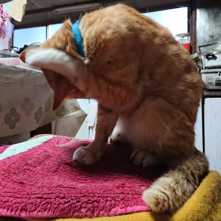 1ae23db1 632b 4946 9361 f07c4fbd8341 1556395459093