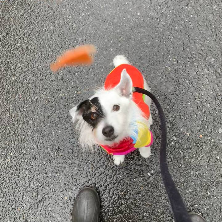 1ae26b7e 7d4e 455c a61d 88a8b42a3cf4 1743472633842