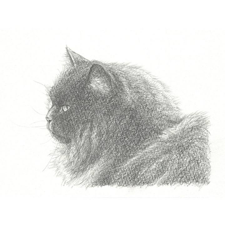 1ae27282 e2b7 43ba 9c37 974d8434e1ef 1554388294360