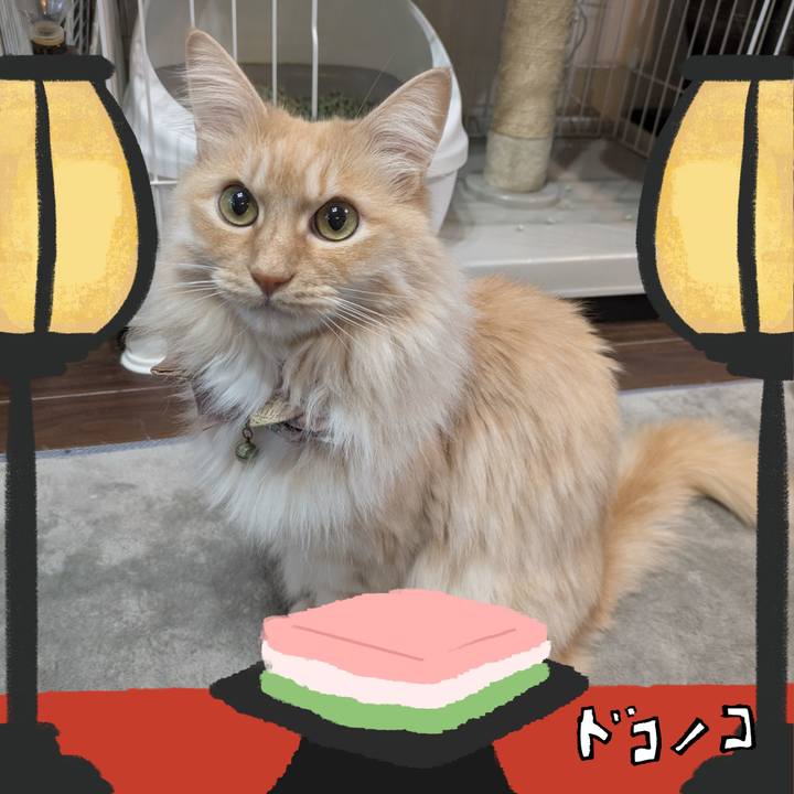 1ae28e8e 8938 487a a35a 737923ddd3e3 1741067105823