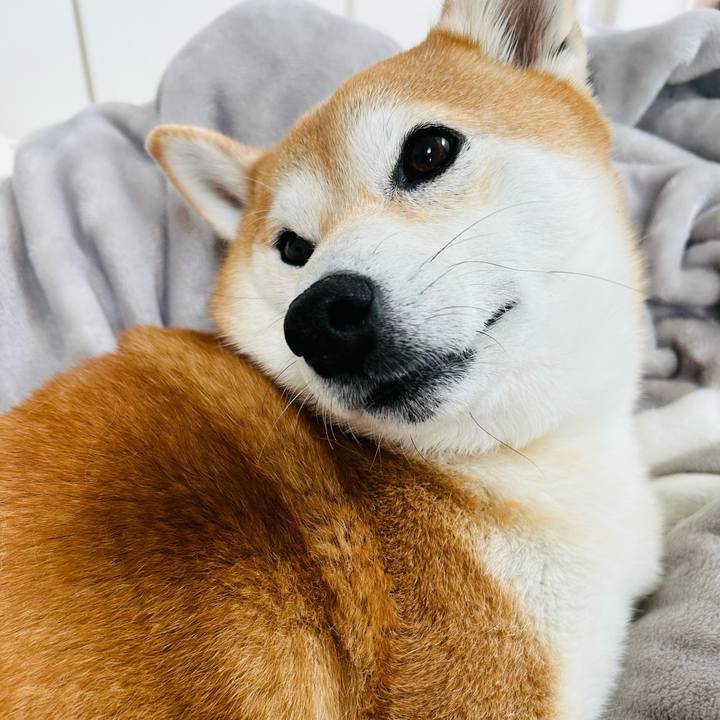 1ae28f46 a7f1 4667 a518 8ccbb13b54ca 1760244501629