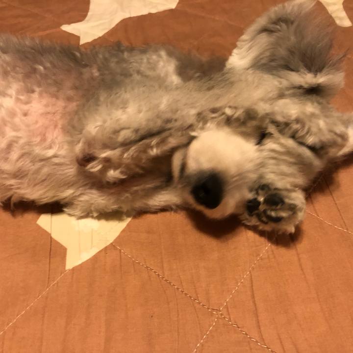 1ae28f84 a702 458c 876c 8abe226bb4f6 1599437773133