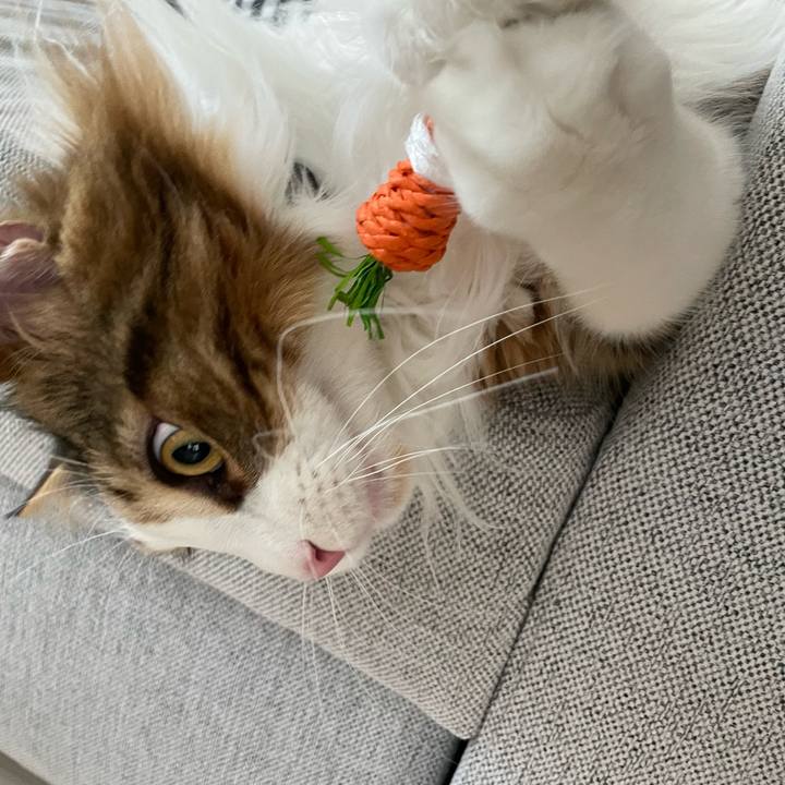 1ae2b05c 7383 46b9 9ded b1d5a4f69f51 1651095236997