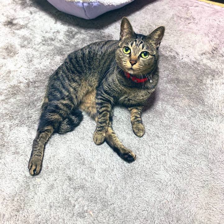 1ae2b07f 0997 4709 890d 78003d58e688 1581689188540