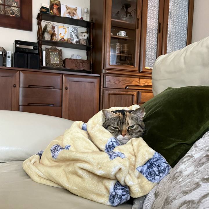 1ae2bc66 a5eb 4b35 a70c aed1b0859d38 1763162655784