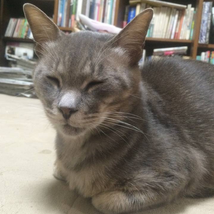 1ae2c714 cb07 4ff9 a8ab fe0647c2df1d 1529593193193