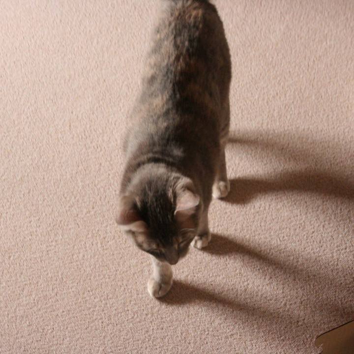 1ae2d209 b795 4364 9edc e2f0ce65cae5 1508544577492