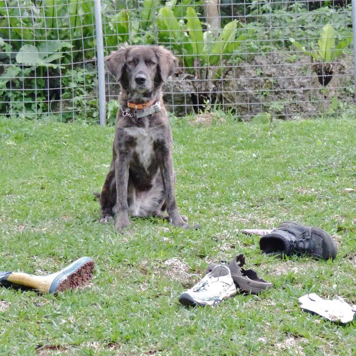 1ae2f4eb b83f 49e0 871a 06d5b51b475b 1639724661605