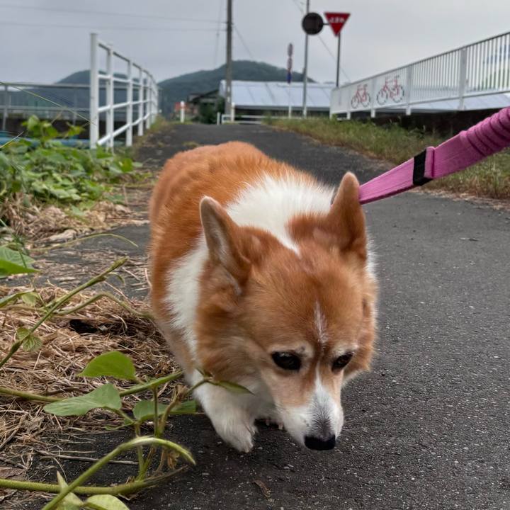 1ae31392 4def 4af9 a145 c259862e3122 1754257240154