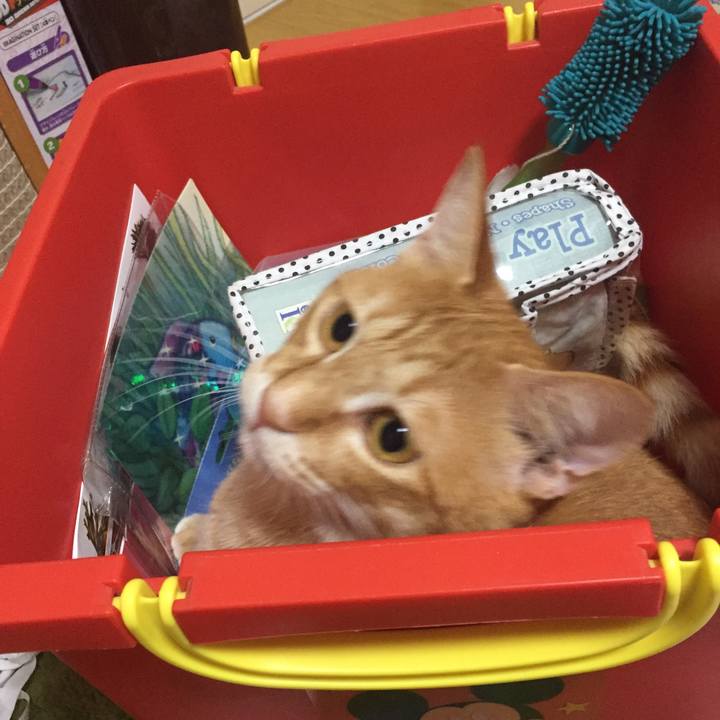 1ae3264a 444c 4ffe b703 197b89f3fd32 1524310424572