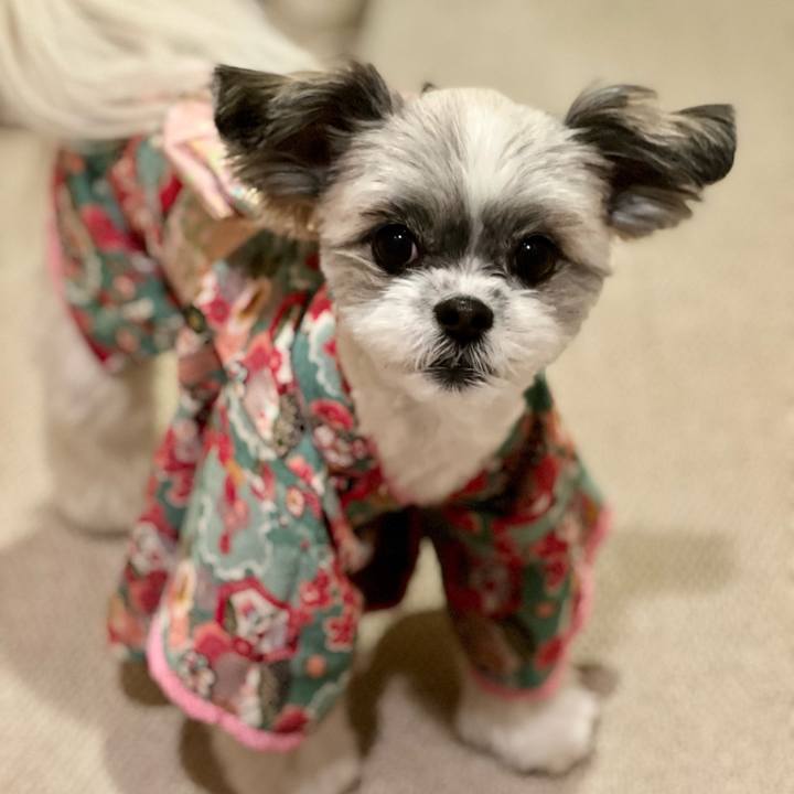 1ae33f7b 0c73 4d43 be5e c414d68c9108 1641127653301