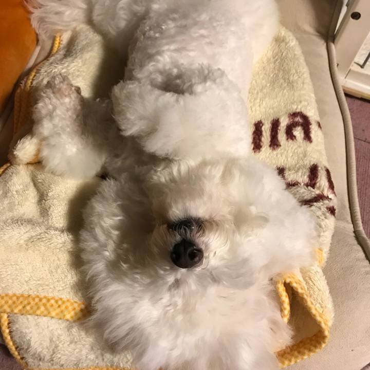 1ae379b5 131d 4b9e 9a12 3ad065d80132 1540388462881