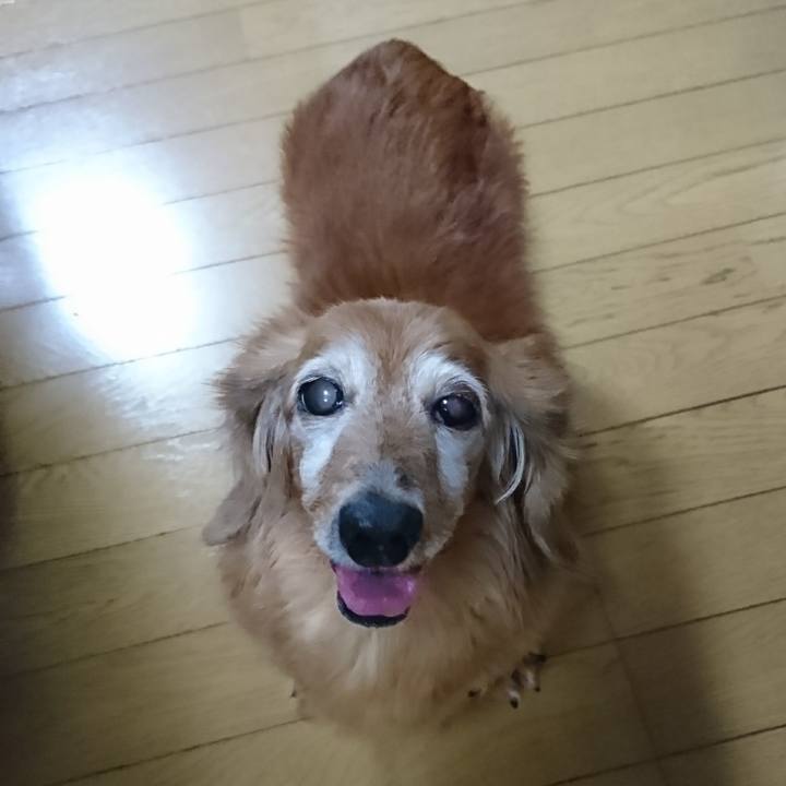 1ae386d0 cf4b 401b a8c5 efa93ce38440 1507626601974