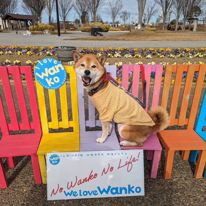 1ae3a8de e810 4568 b9e1 0614077cb47f 1704641135261