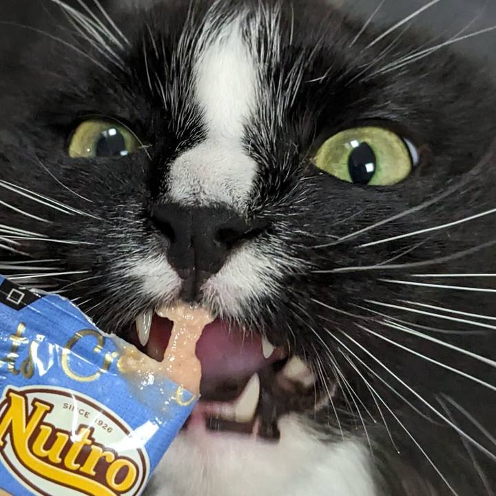 1ae3afa3 acef 41f4 b35e 50111d4ca222 1714650771387