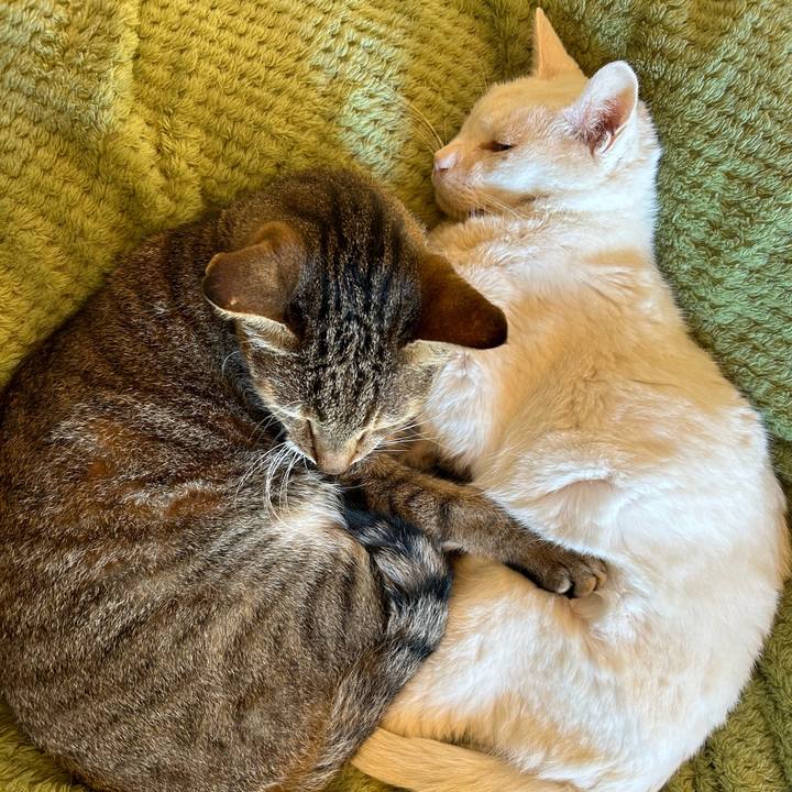 1ae3ee7c 025c 435b b044 1ae54b01e814 1699402323274