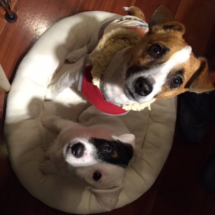 1ae41894 00a9 4ac0 973e b280fdcef2d1 1549494323863