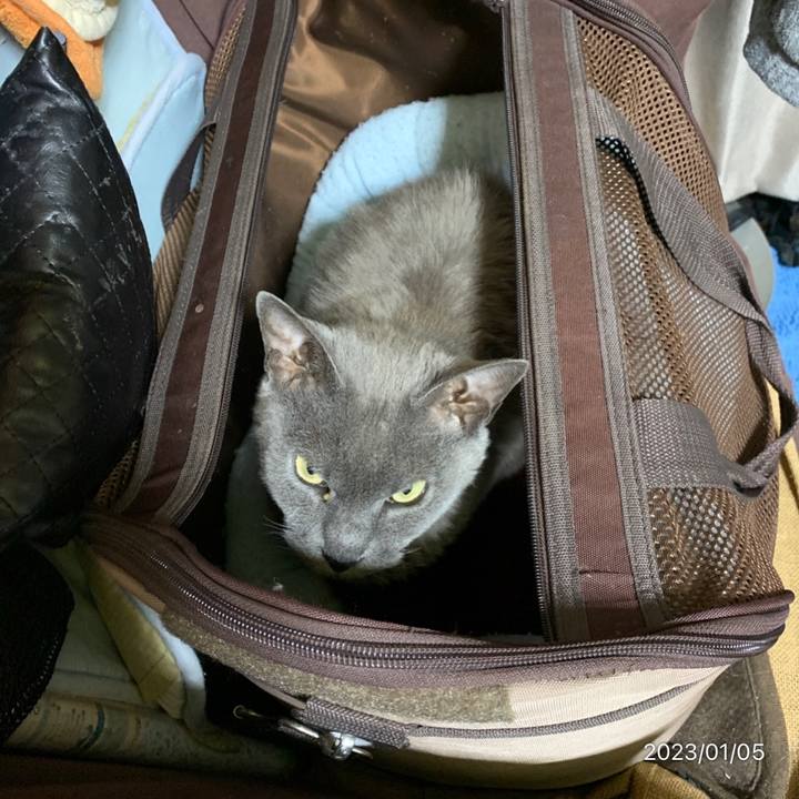 1ae4220f 266c 469b b954 676af3068df1 1672925256327